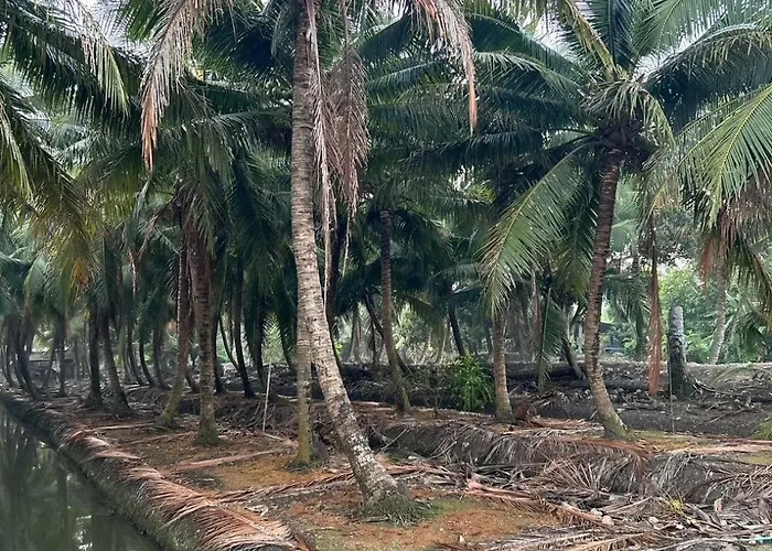Baan Damnoen 88 *